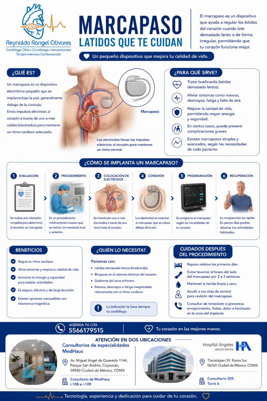 Infografía 1
