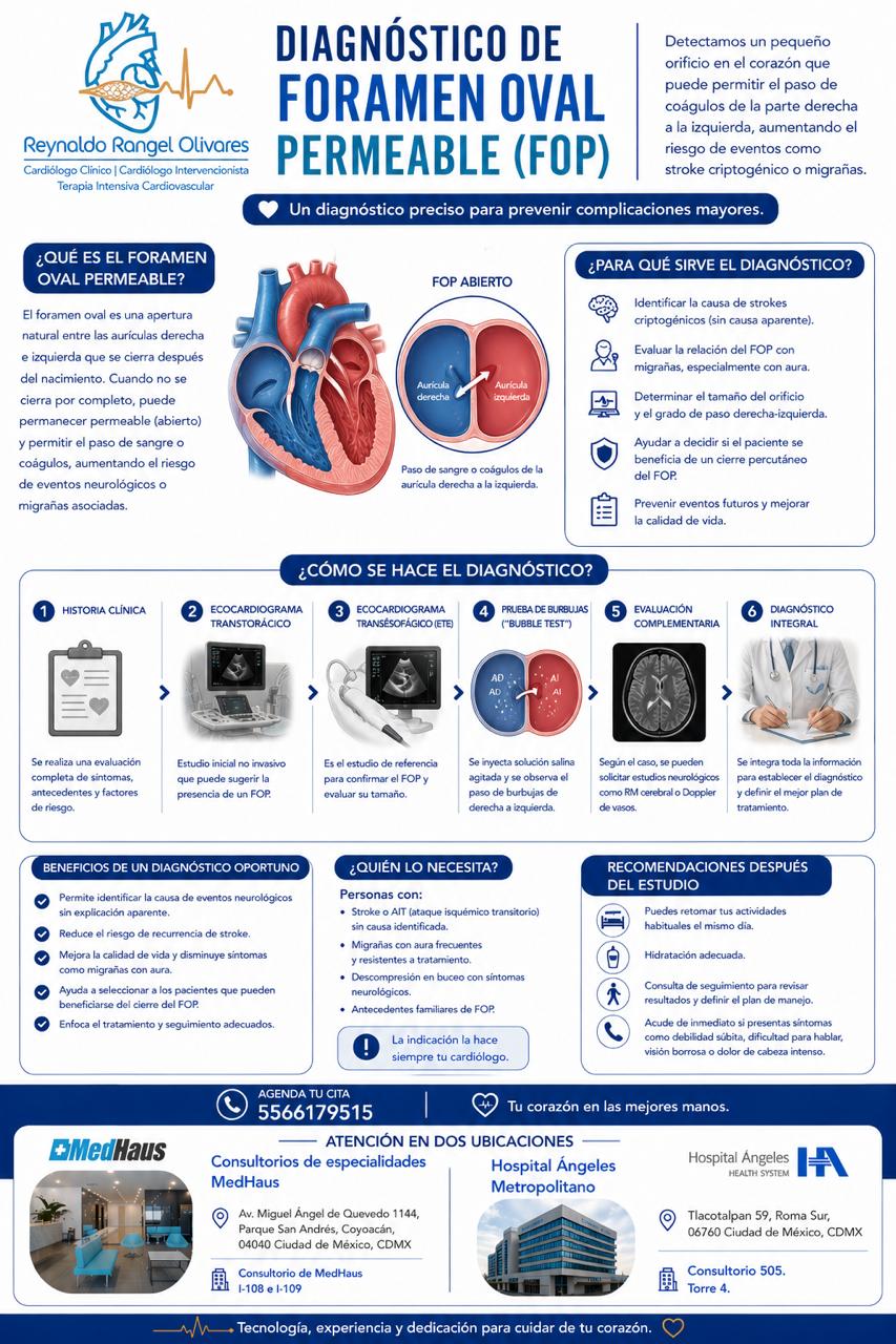 Infografía 2