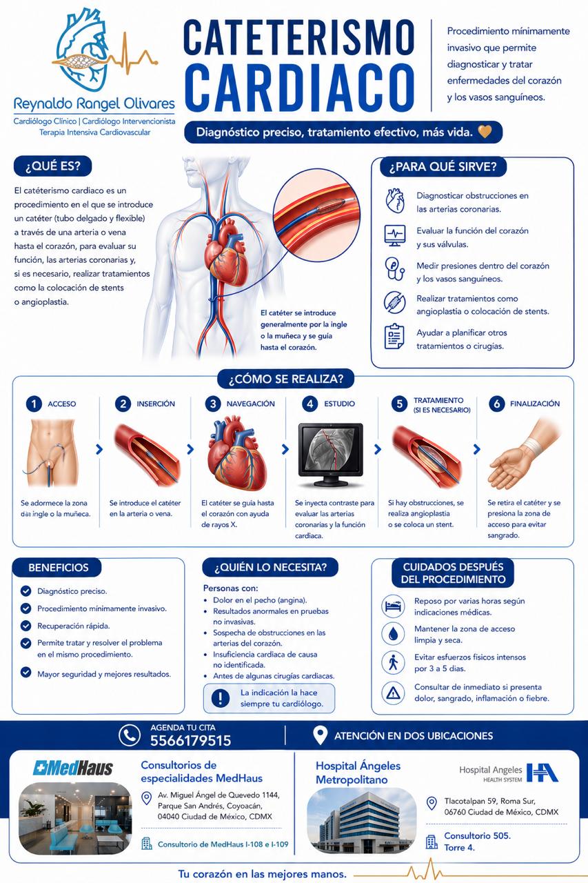 Infografía 3