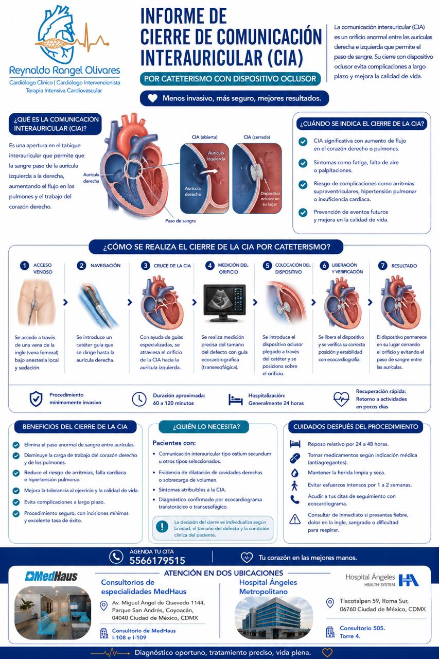 Infografía 4