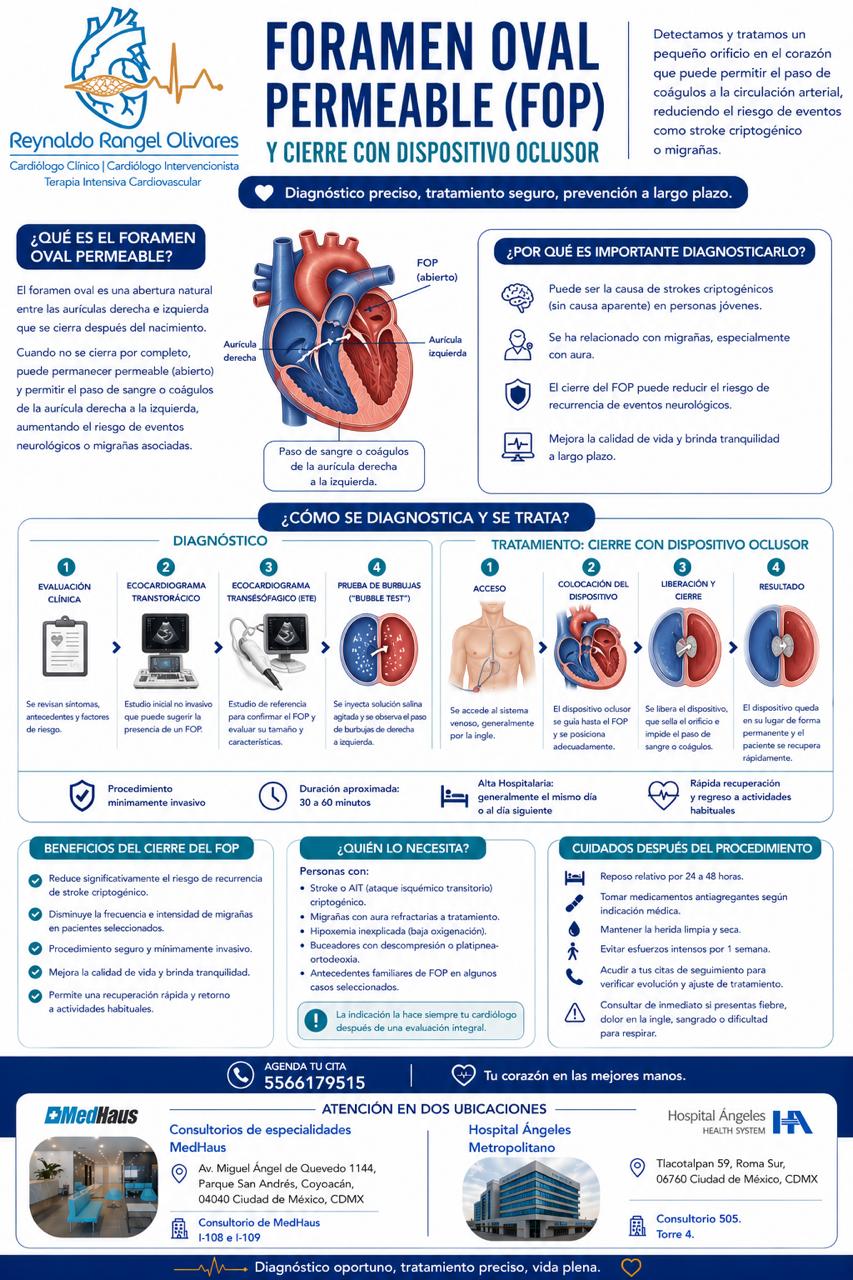 Infografía 5