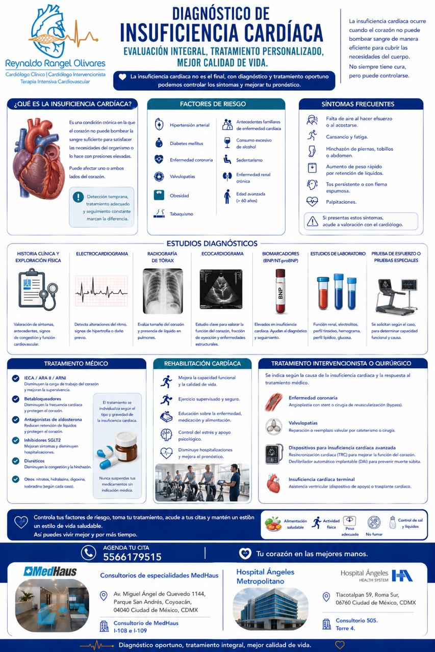 Infografía 6