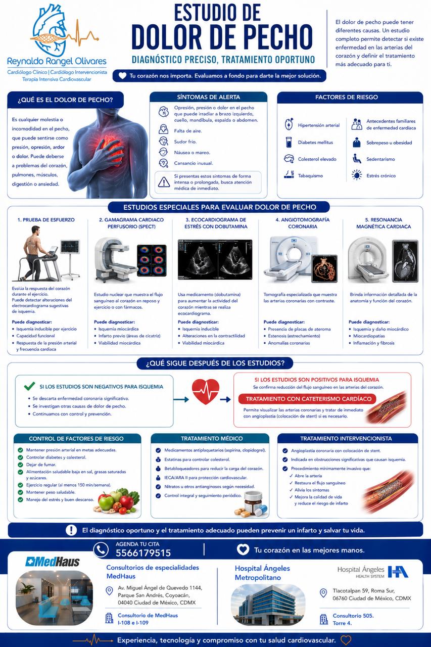 Infografía 7