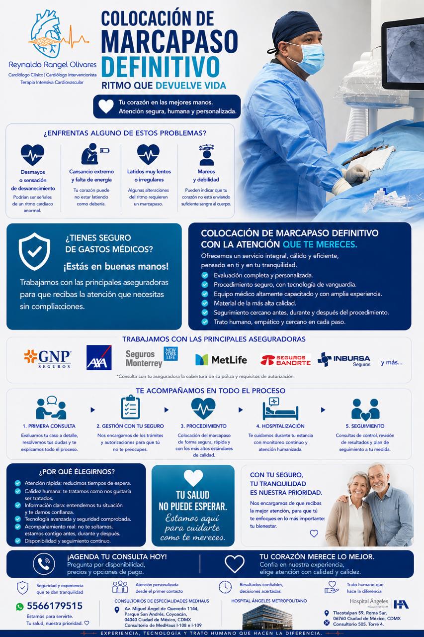 Infografía 7